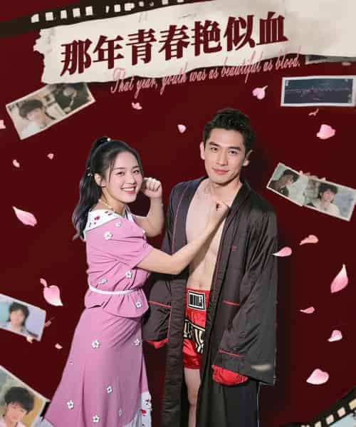 那年青春艳似血   共59集 - 紫橙阁短剧