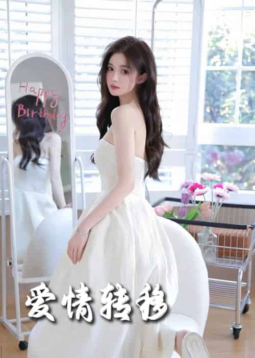 爱情转移（60集全） - 紫橙阁短剧