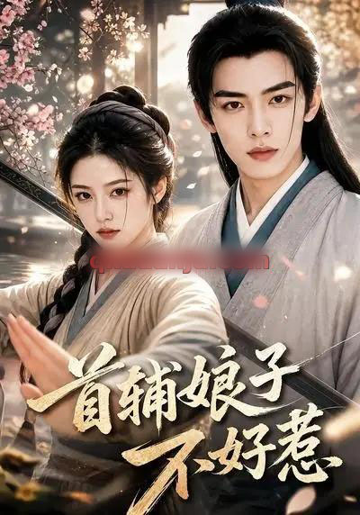 首辅娘子不好惹（156集全）AI短剧-紫橙网创项目网