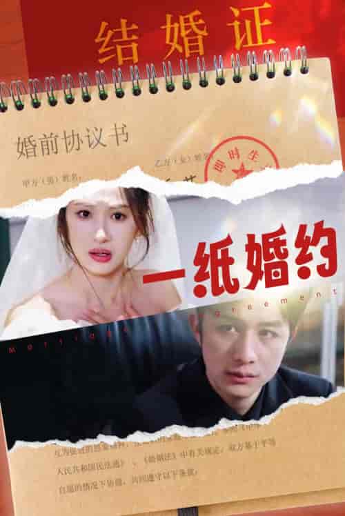 一纸婚约（90集） - 紫橙阁短剧