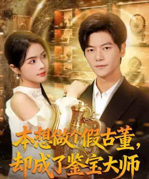 本想做个假古董,却成了鉴宝大师(80集全)刘瀚阳&刘彦君-紫橙网创项目网