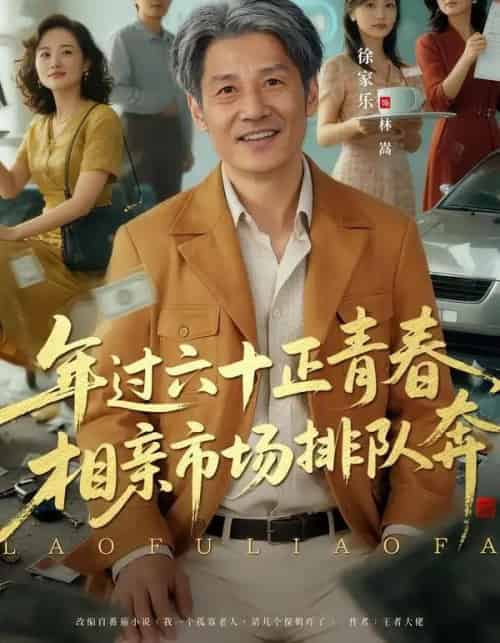 老夫聊发少年狂，保姆成群很正常＆年过六十正青春，相亲市场排队奔（73集全）谢昀＆徐家乐-紫橙网创项目网