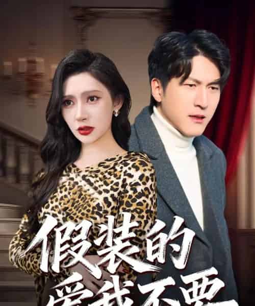 假装的爱我不要（44集全）王安忆＆李恒臻-紫橙网创项目网