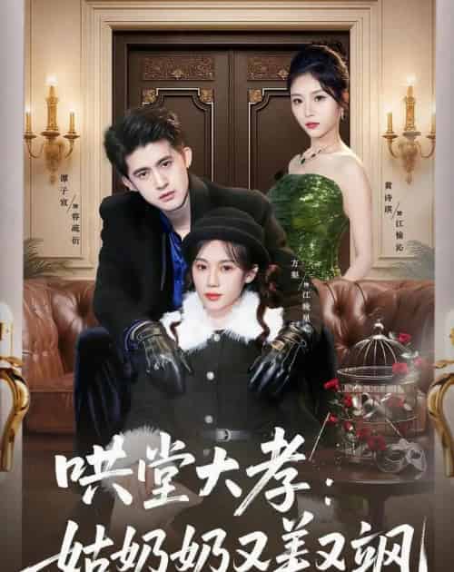 哄堂大孝:姑奶奶又美又飒(60集全)方梨&谭子宣&史小强-紫橙网创项目网