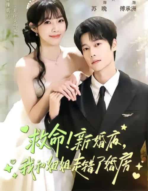 救命！新婚夜，我和姐姐走错了婚房（58集全）盛一辰＆赵偲佟-紫橙网创项目网
