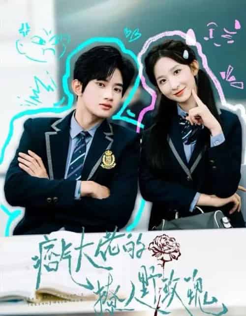 痞气大佬的撩人野玫瑰（80集全）李悦暄＆王浩宇-紫橙网创项目网