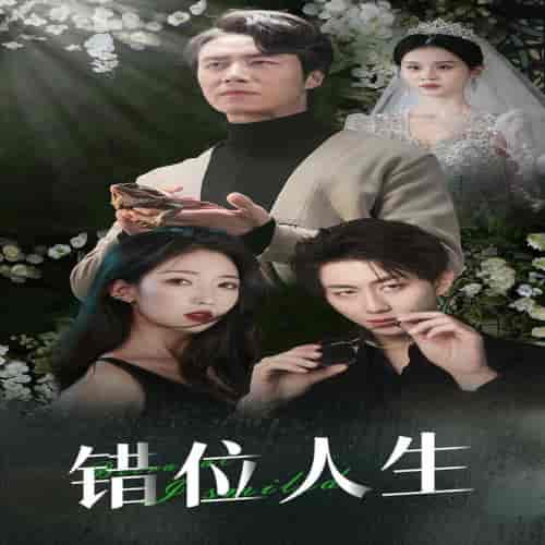 错位人生＆养大他人的儿子后我笑了（33集全） - 紫橙阁短剧