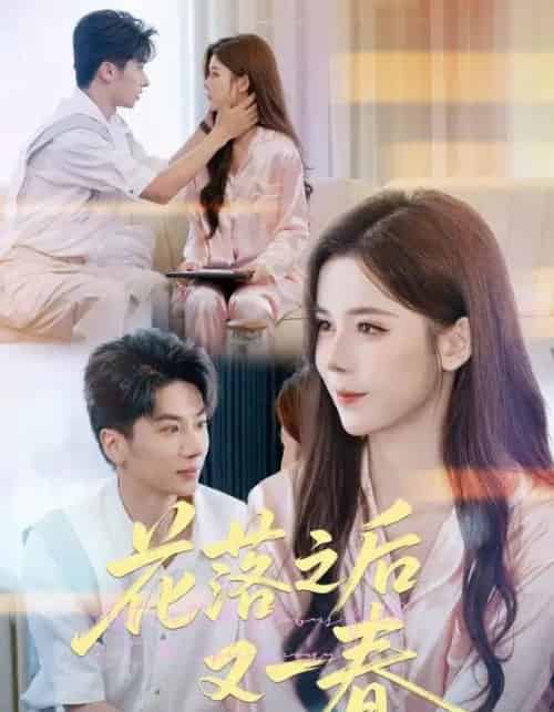 花落之后又一春（60集全）王宜洋＆苏弋涵-紫橙网创项目网