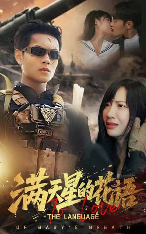 满天星的花语 满天星的花语