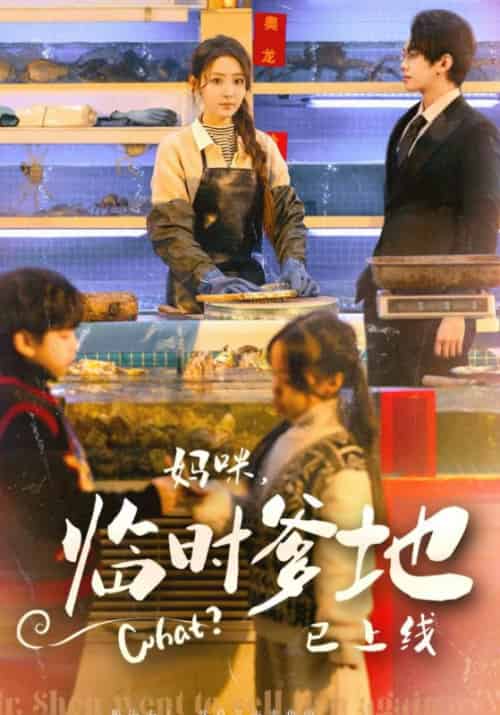 妈咪，临时爸比已上线（79集全）沈清河＆宋听 - 紫橙阁短剧