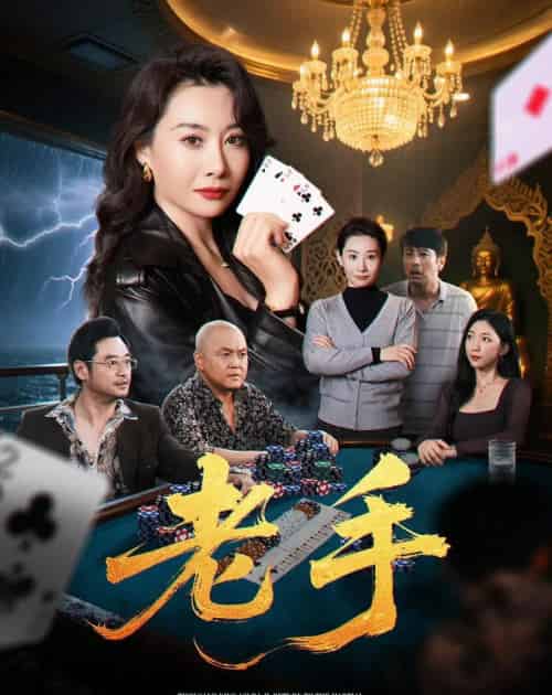 老手 老手