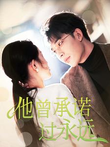 他曾承诺过永远（70集全） - 紫橙阁短剧