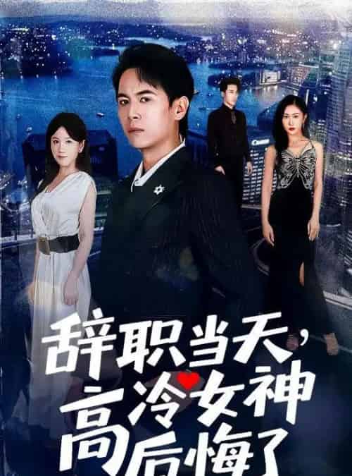 辞职当天，高冷女神后悔了＆辞职当天高冷女神后悔了（62集全）孙启恒＆邹南笙-紫橙网创项目网