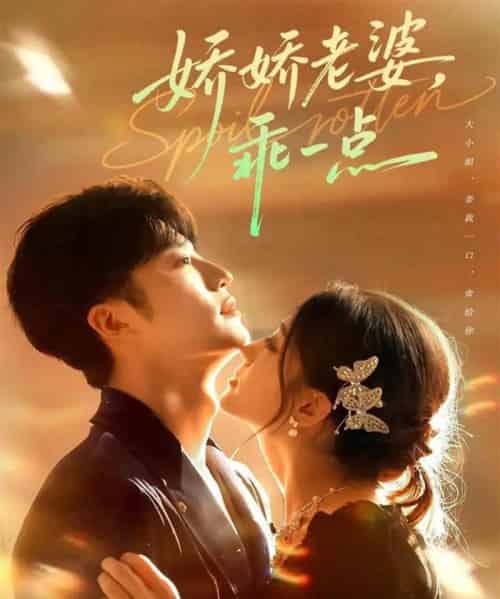 娇娇老婆，乖一点（68集全）王名扬＆李芊乐-紫橙网创项目网