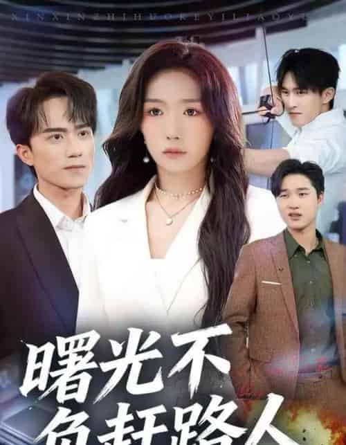 曙光不负赶路人（75集全）姚初淼＆李永臻-紫橙网创项目网