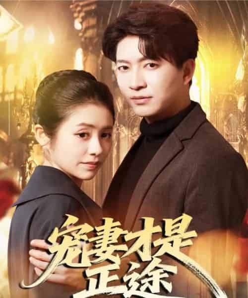宠妻才是正途(83集全)陈子轩&张心怡-紫橙网创项目网