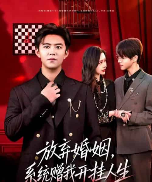 放弃婚姻，系统赠我开挂人生（60集全）王依海＆张子唯-紫橙网创项目网
