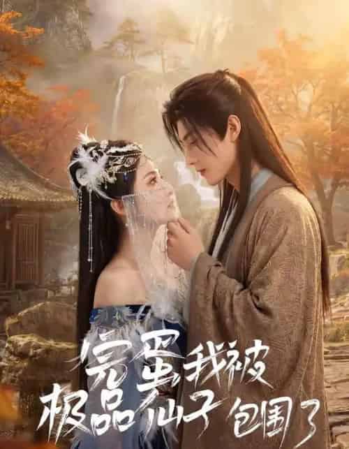 完蛋我被极品仙子包围了（66集全）AI-紫橙网创项目网