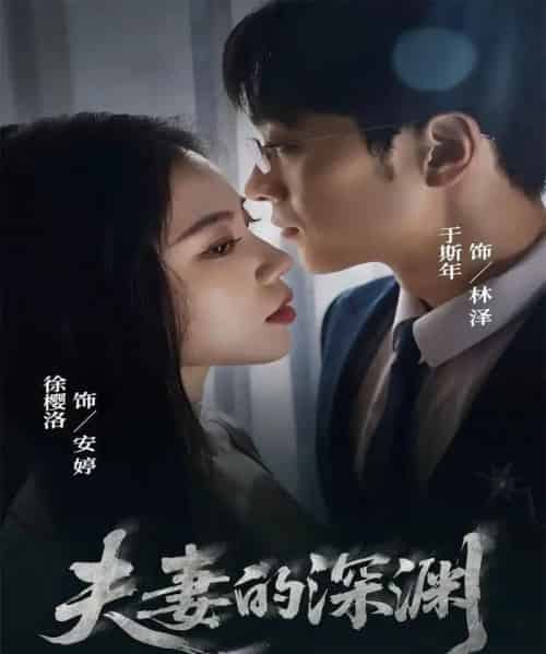夫妻的深渊（45集全）徐樱洛＆于斯年-紫橙网创项目网