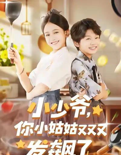 小少爷，你小姑姑又又又发飙了（99集全）-紫橙网创项目网