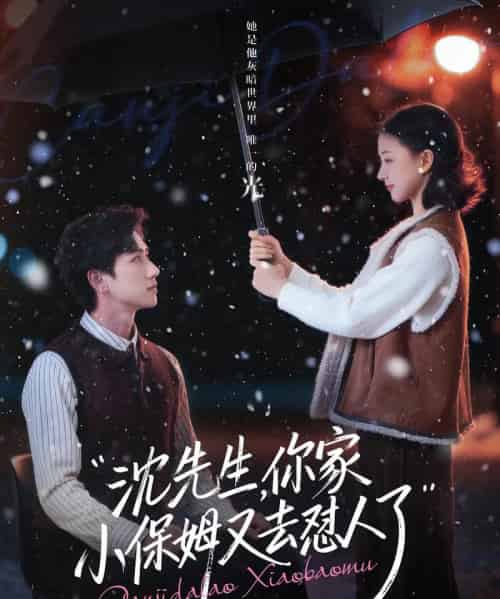 沈先生,你家小保姆又去怼人了(82集全)陈政阳&廖银玥-紫橙网创项目网