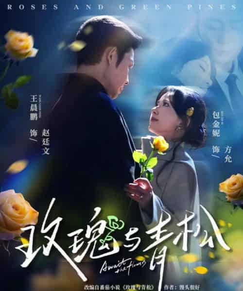 玫瑰与青松(79集全)包金妮&王晨鹏-紫橙网创项目网