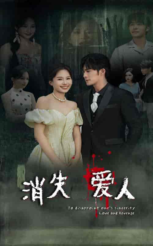 消失爱人（74集） - 紫橙阁短剧