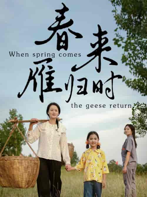 春来雁归时（61集全） - 紫橙阁短剧