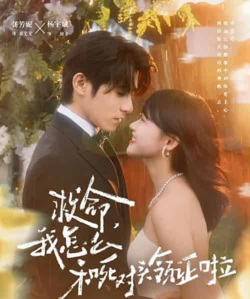 救命，我怎么和死对头领证啦＆周总，夫人她不按套路出牌（82集全）杨宇斌＆龚芳妮-紫橙网创项目网