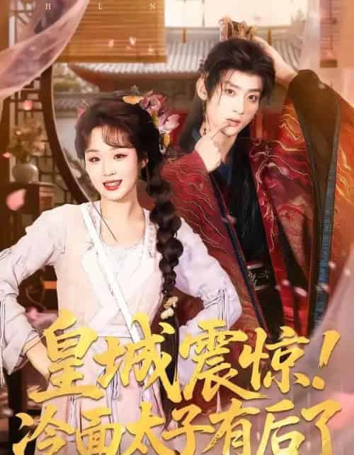 皇城震惊！冷面太子有后了（93集全）吴昊＆吴佳璐-紫橙网创项目网