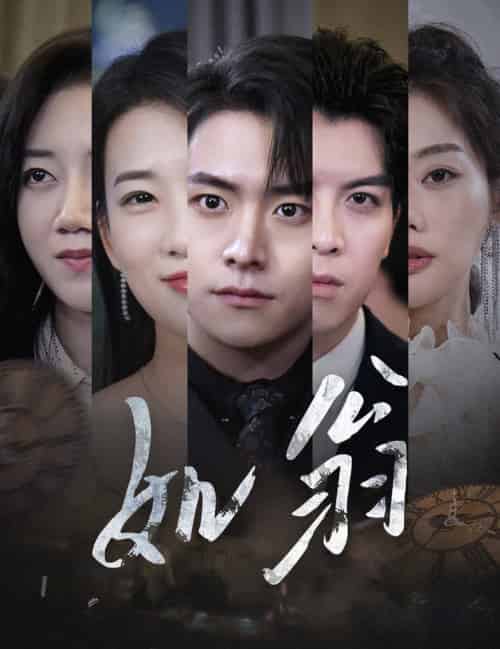 如翁（32集全） - 紫橙阁短剧
