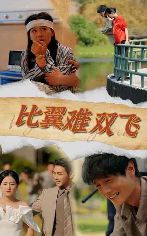比翼难双飞（30集全） - 紫橙阁短剧