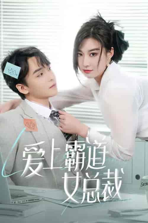 爱上霸道女总裁（73集全） - 紫橙阁短剧