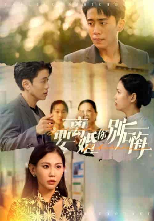 要离婚你别后悔（34集全）赵珞姿 - 紫橙阁短剧
