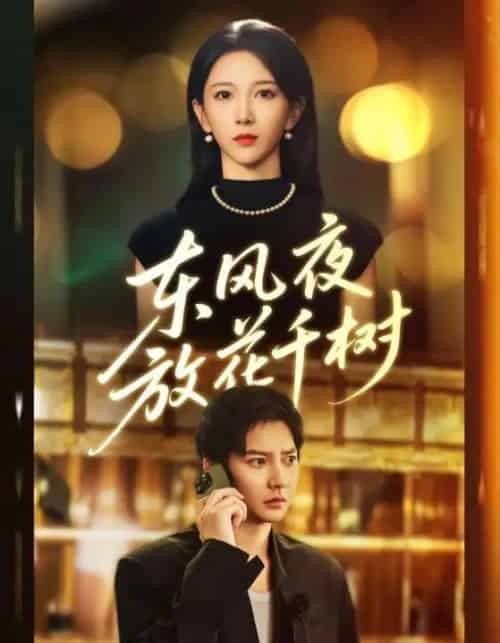 东风夜放花千树＆＆燕西误尽瑶台月（91集全）白羽＆高明君-紫橙网创项目网