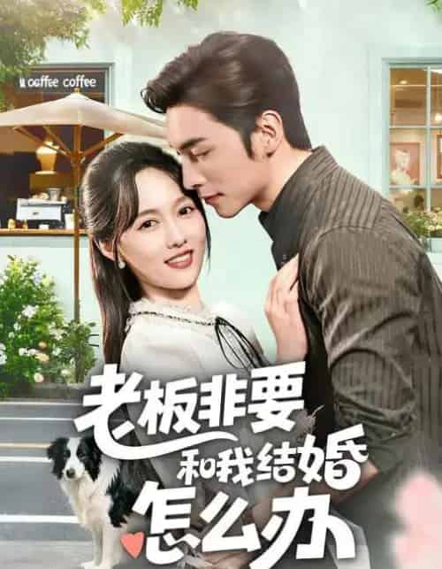 老板非要和我结婚怎么办（50集全）王博＆李媛菁-紫橙网创项目网