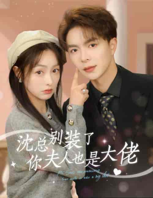 沈总别装了，你夫人也是大佬（86集） - 紫橙阁短剧