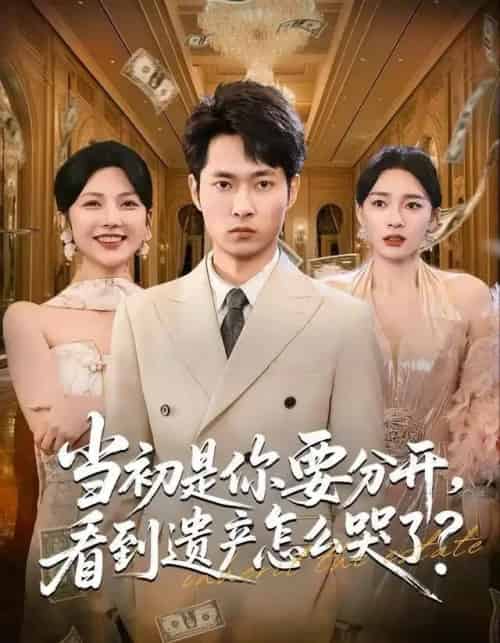 当初是你要分开,看到遗产怎么哭了?(70集全)霍俊全&金珊&曹瑶佳-紫橙网创项目网