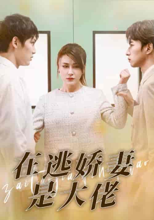 在逃娇妻是大佬（77集）宁远＆颜小念 - 紫橙阁短剧
