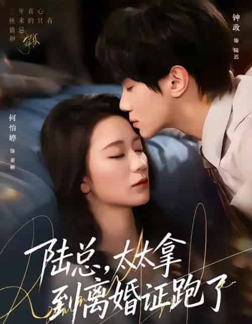 陆总，太太拿到离婚证跑了（86集全）钟政＆何依婷 - 紫橙阁短剧