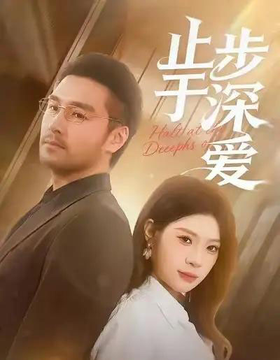 止步于深爱（45集全）孔雯雯＆金钊-紫橙网创项目网