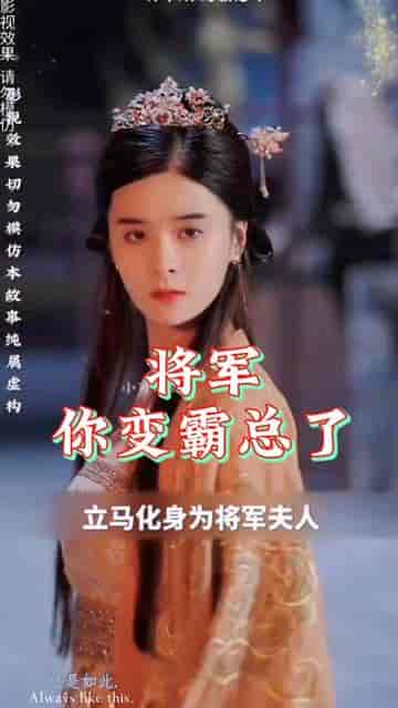 哎呀女将军成了总裁夫人（80集）穿越剧 - 紫橙阁短剧