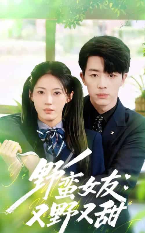 野蛮女友又野又甜（100集全）大宝＆王熳熳-紫橙网创项目网