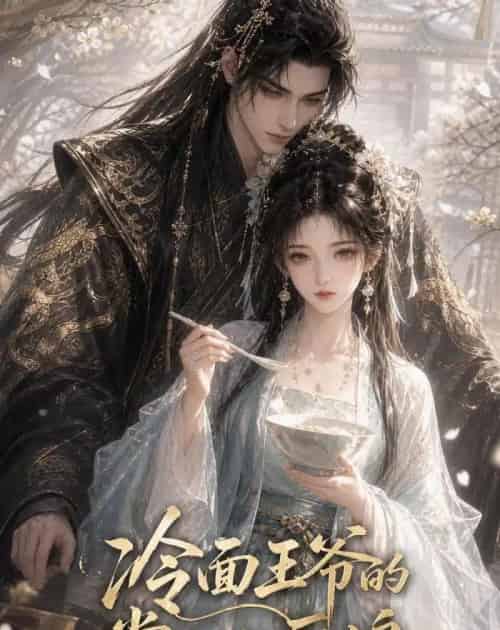 冷面王爷的掌心小厨娘(41集全)AI-紫橙网创项目网