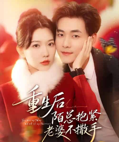 重生后陌总抱紧老婆不撒手（66集全）盛晨＆孟佳辉-紫橙网创项目网
