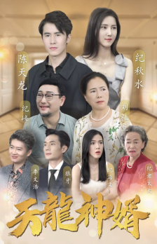 天龙神婿（80集） - 紫橙阁短剧