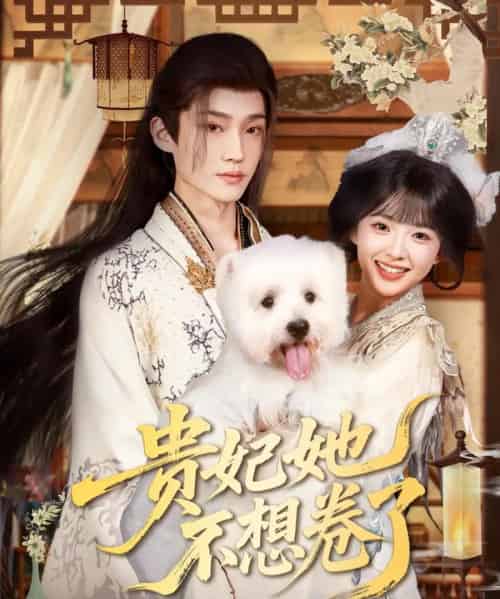 贵妃她不想卷了（60集）李沛洋＆吴滕莉-紫橙网创项目网