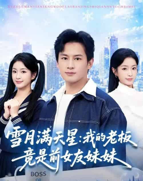 雪月满天星:我的老板竟是前女友妹妹(65集全)彭士腾&林冰冰-紫橙网创项目网