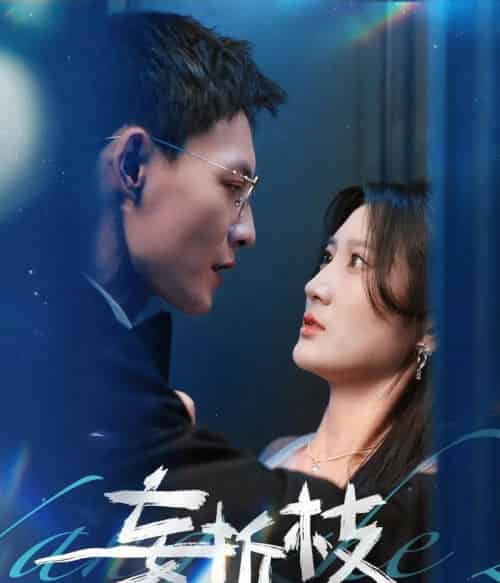 妄折枝（53集）冯铭潮＆杨珊子 - 紫橙阁短剧