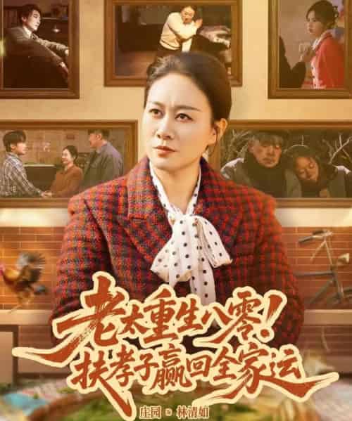 老太重生八零！扶孝子赢回全家运（76集全）庄园园-紫橙网创项目网